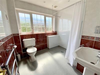 Picture 7